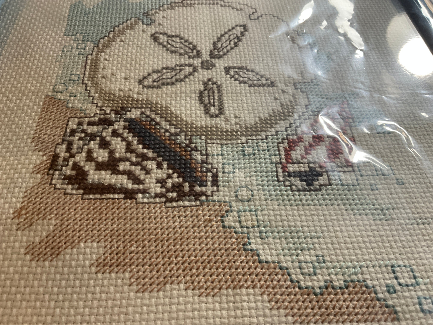 Tranquil beach with sand dollar and seashells cross stitch picture finished project in blue frame