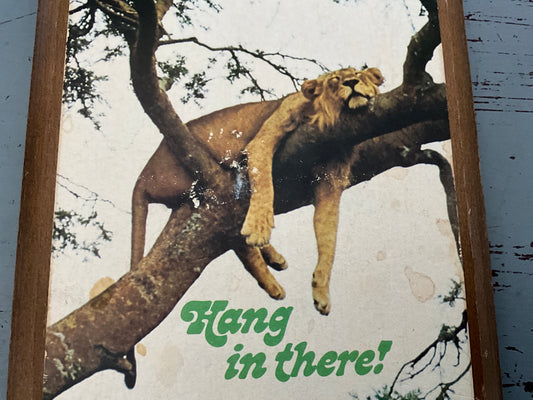 Hallmark Hang in there! Lion resting in a tree vintage circa 1970s wooden plaque