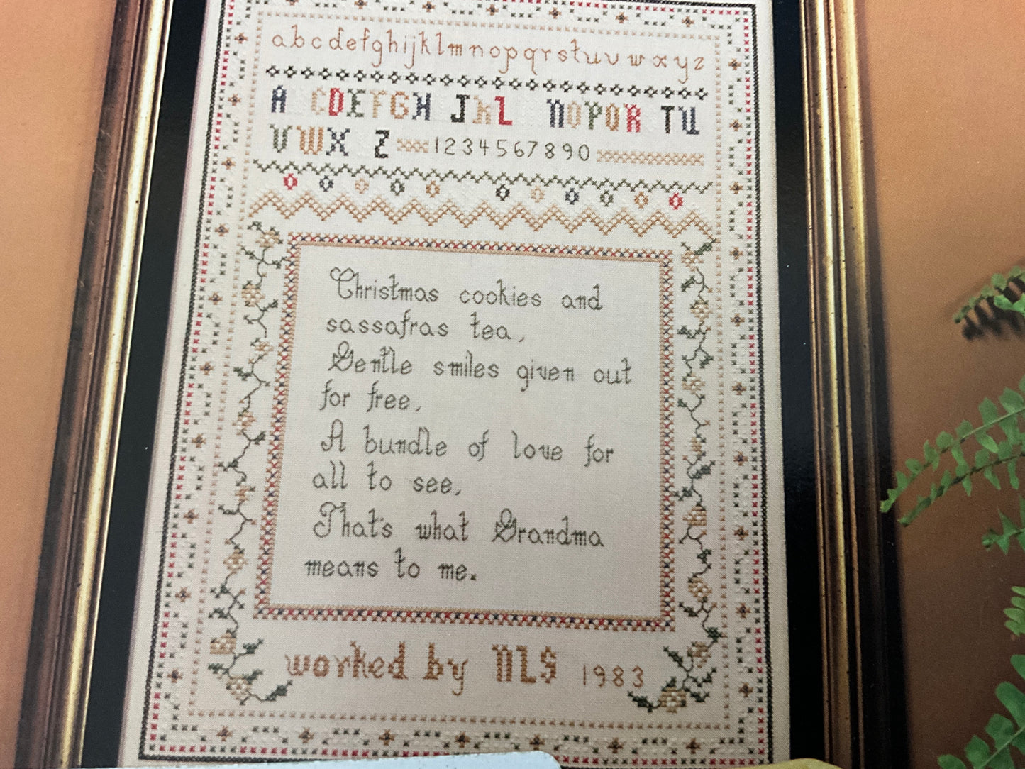 T&N Designs Grandmothers Are Special L107 counted cross stitch chart