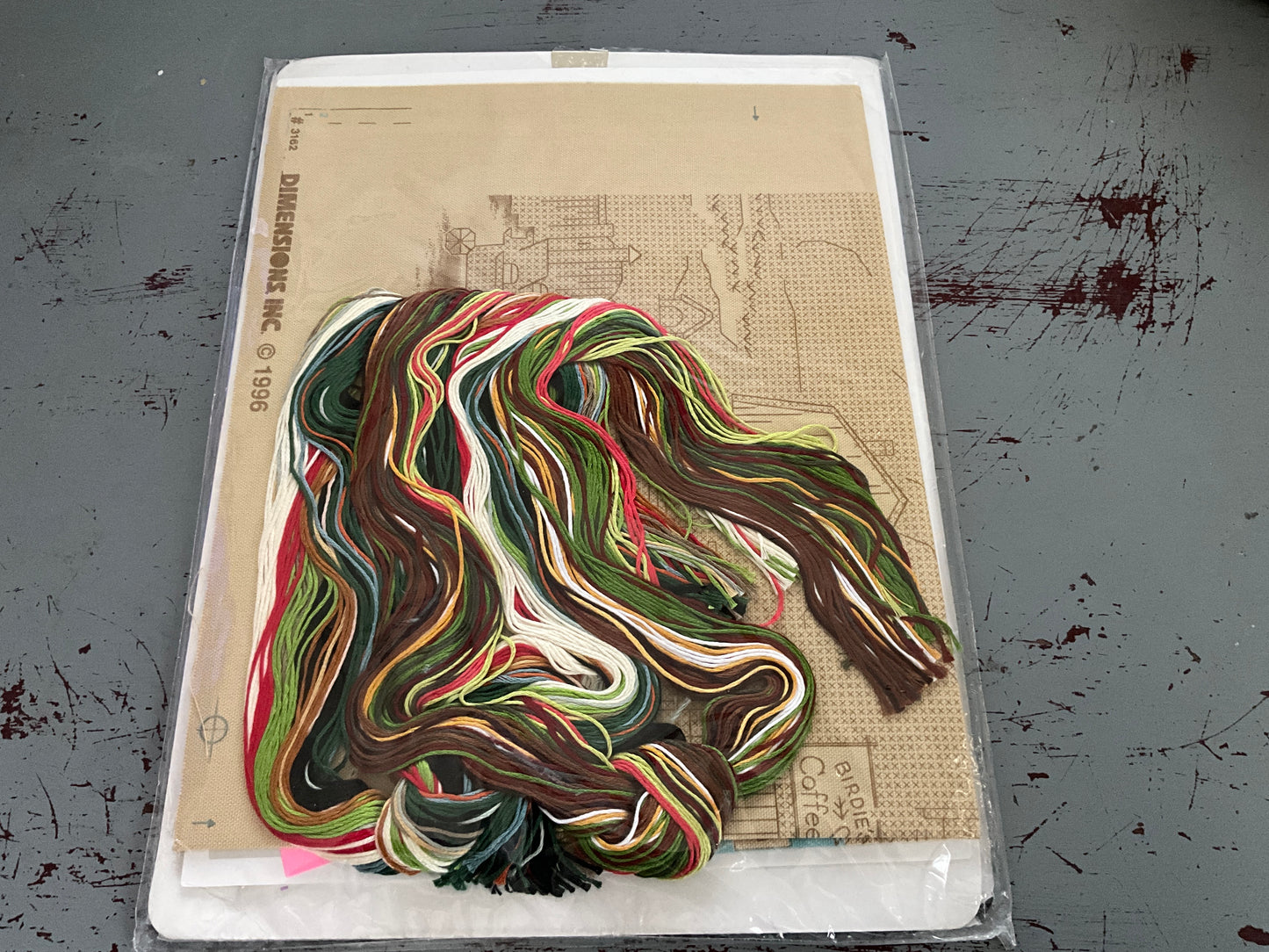 Dimensions A Peak At The Past by Charles Wysocki 3162 stamped cross stitch kit 16 by 10 inches