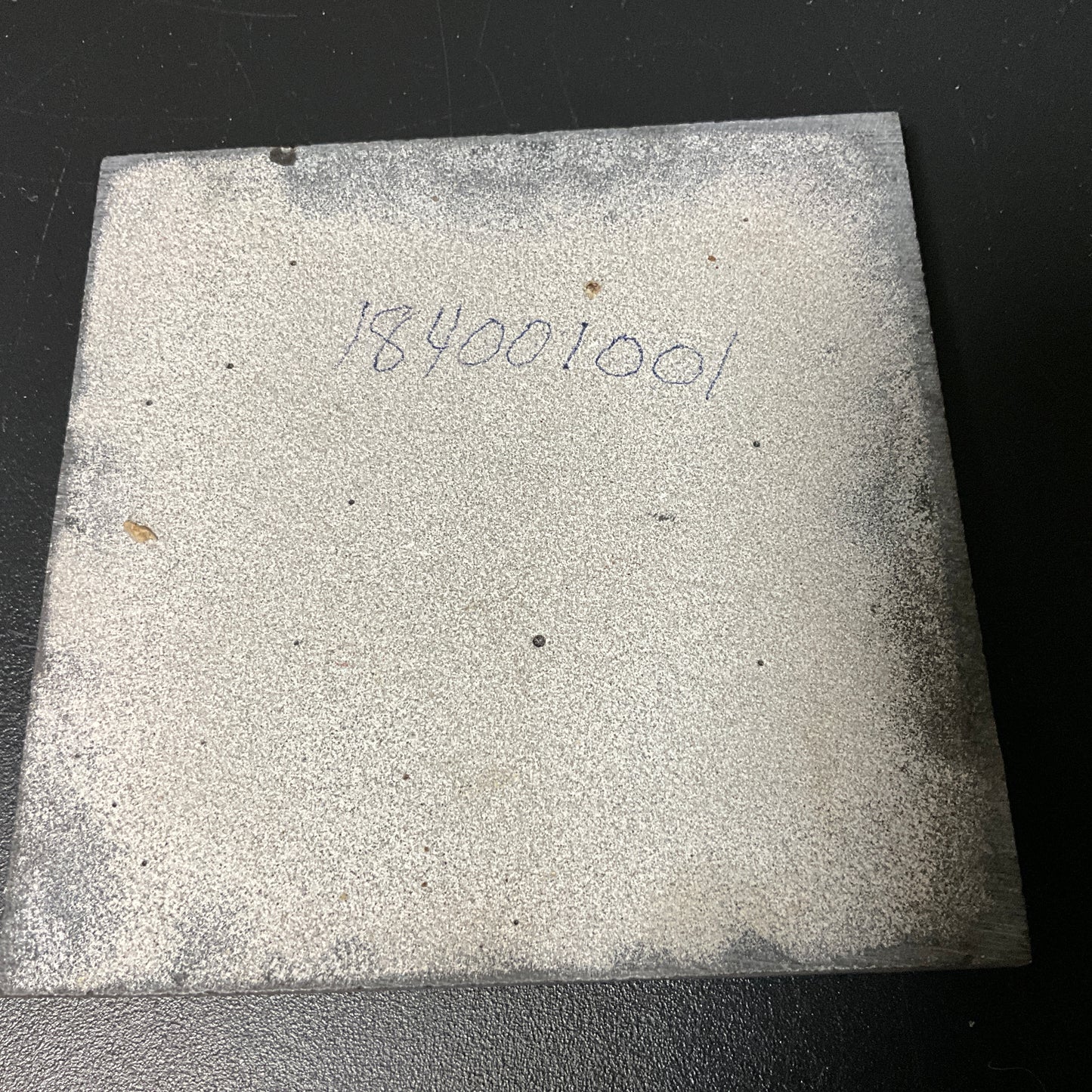 Tortoise/Turtle gold-tone metal surfaced ceramic tile