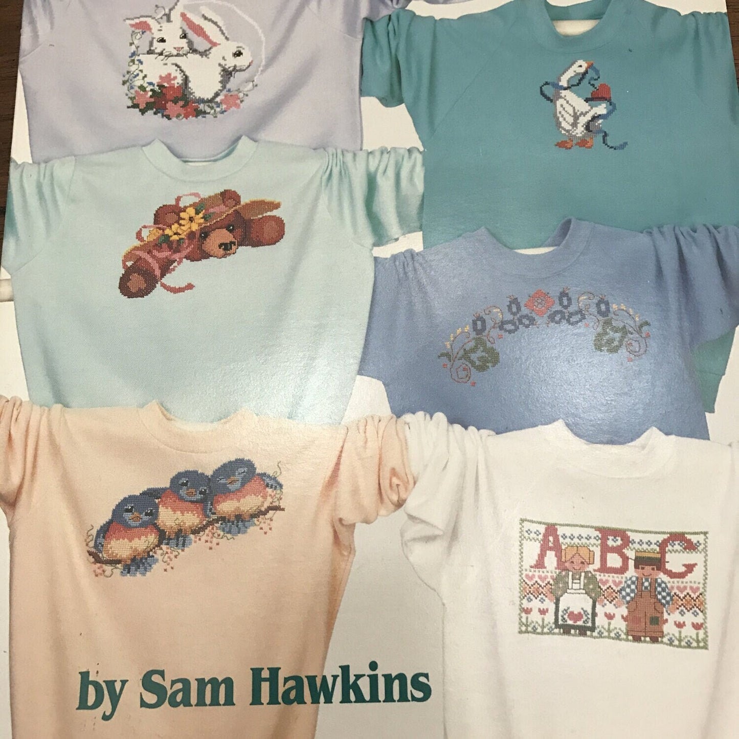 American School of Needlework Beginner's Guide to Cross Stitch with Waste Canvas