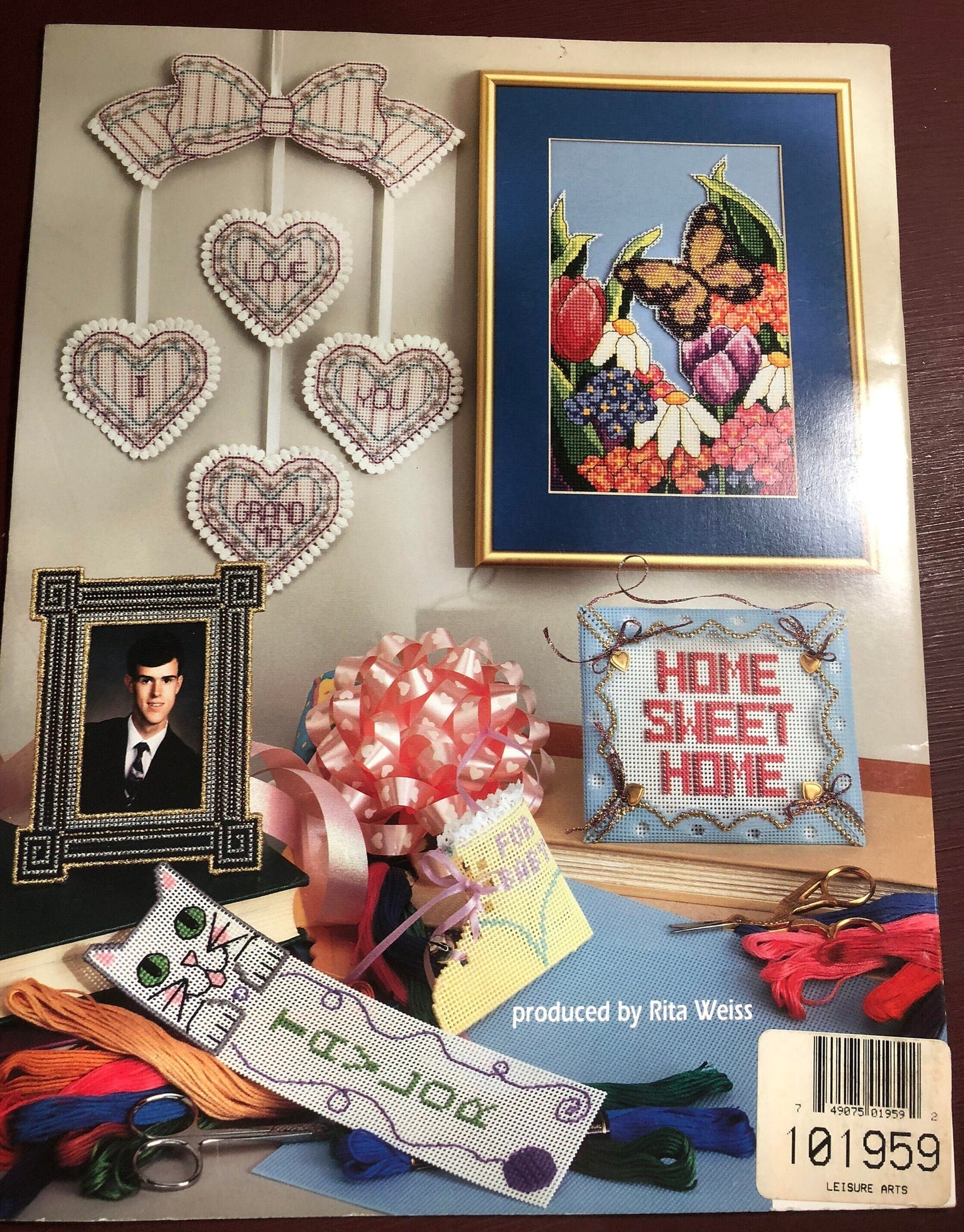 American School of Needlework Beginner's Guide to Perforated Plastic Cross stitch by Diane Davis and Kathy Wirth 3622 Vintage 1993 patterns