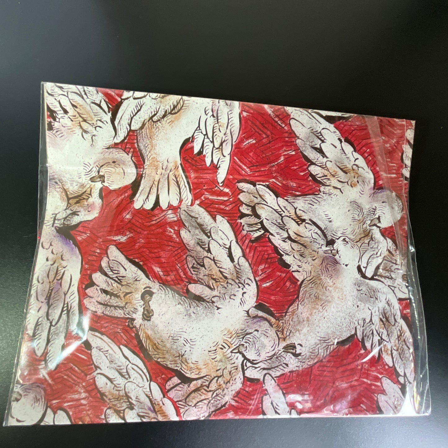 Michael & Company beautiful birds gift wrap includes 2 24 by 30 inch sheets