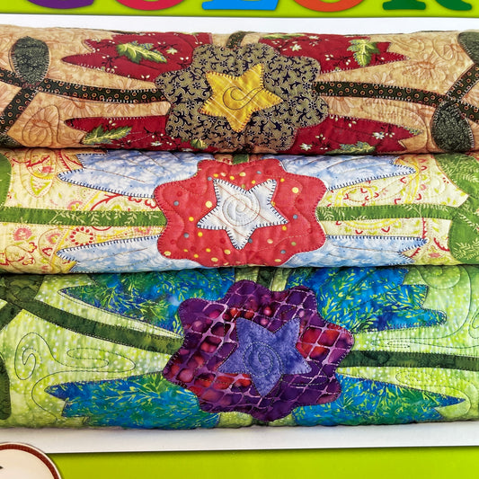 Leisure Arts Pat Sloans take the fear out of color signed copy!