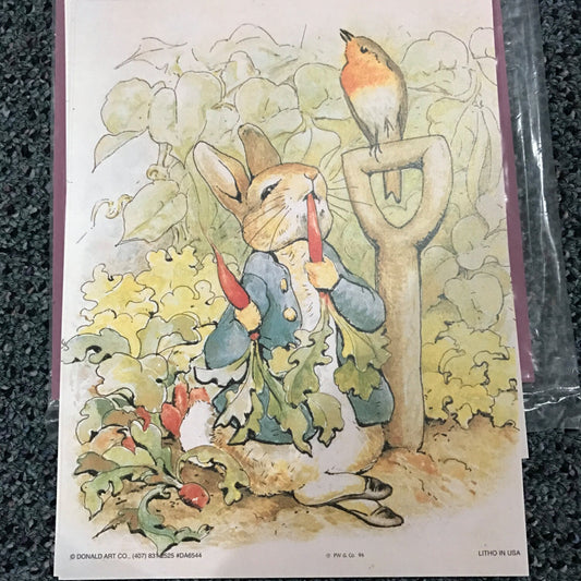 Beatrix Potter Peter in the Garden 3D Decoupage kit