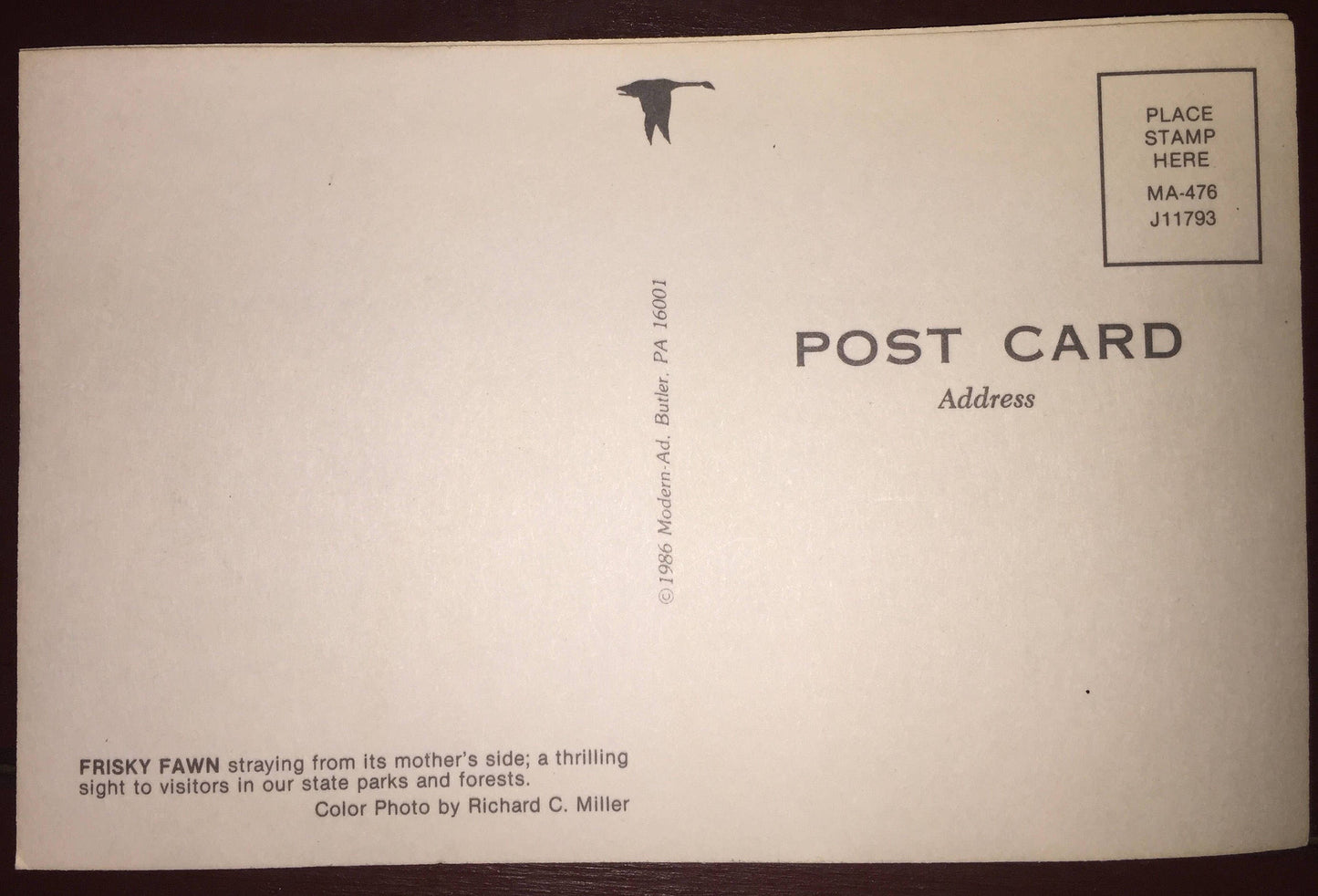 Vintage Collectible Frisky Fawn post cards 3 unused