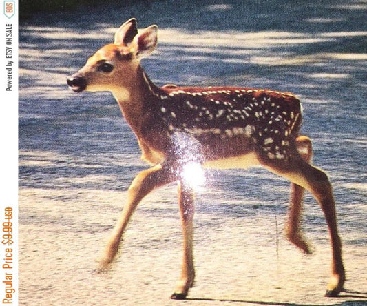 Vintage Collectible Frisky Fawn post cards 3 unused