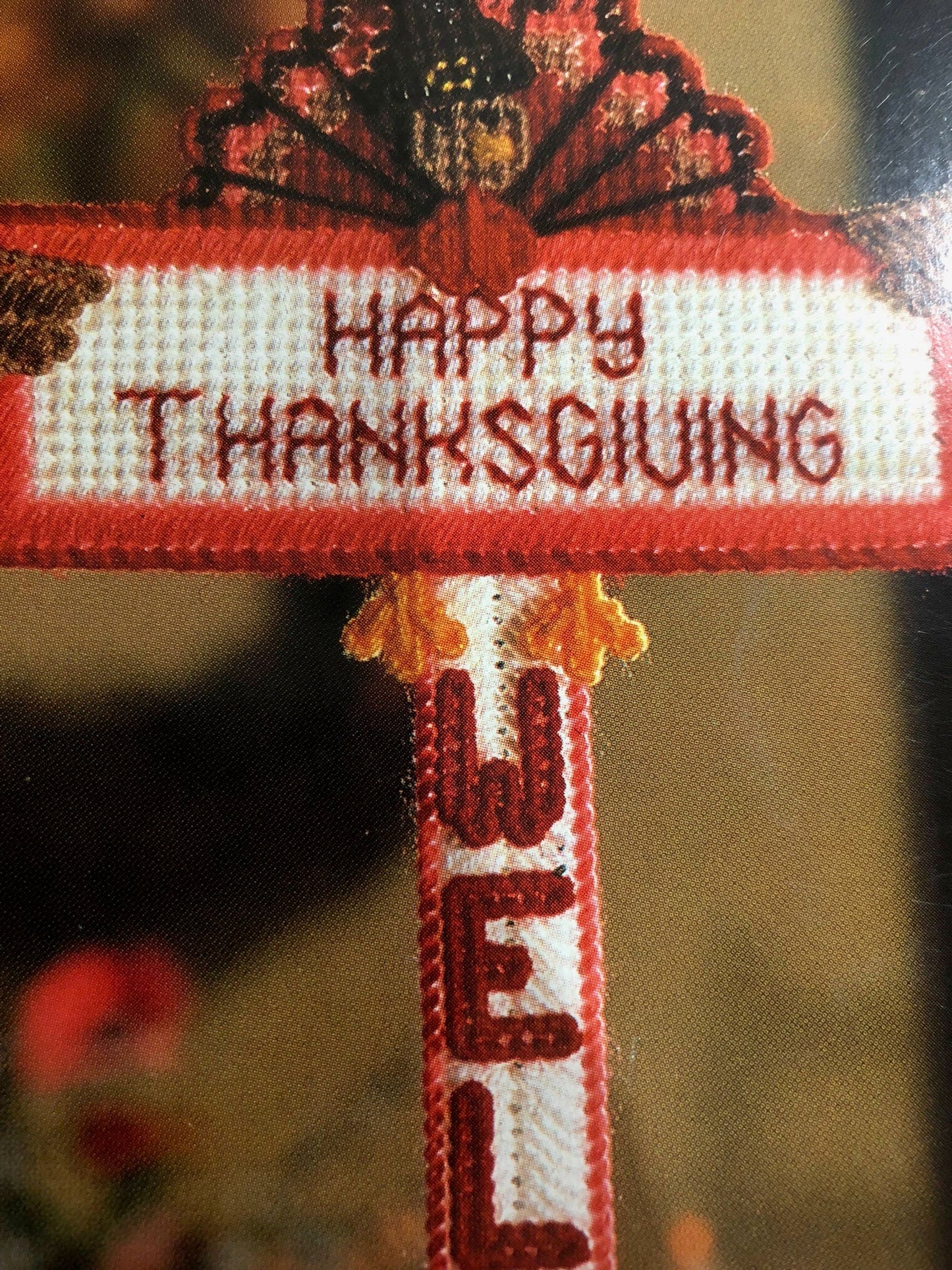 House of White Birches, Thanksgiving Welcome, Plastic Canvass pattern, Designed by Vicki Blizzard, 186041