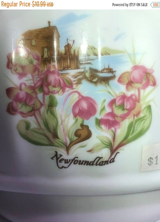 Newfoundland Souvenir, Vintage Collectible, Napkin Holder