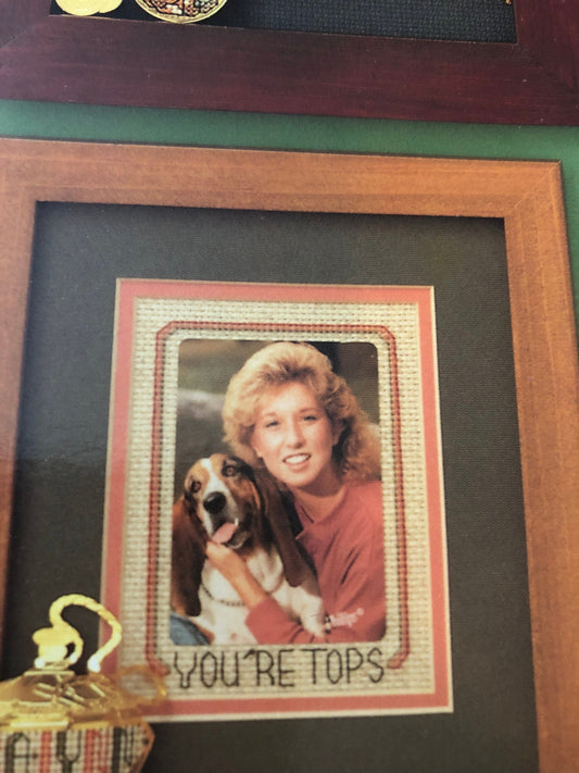 Needleform, Gold n Cross Stitch, Toy Collection, Vintage 1988, Counted Cross Stitch Pattern