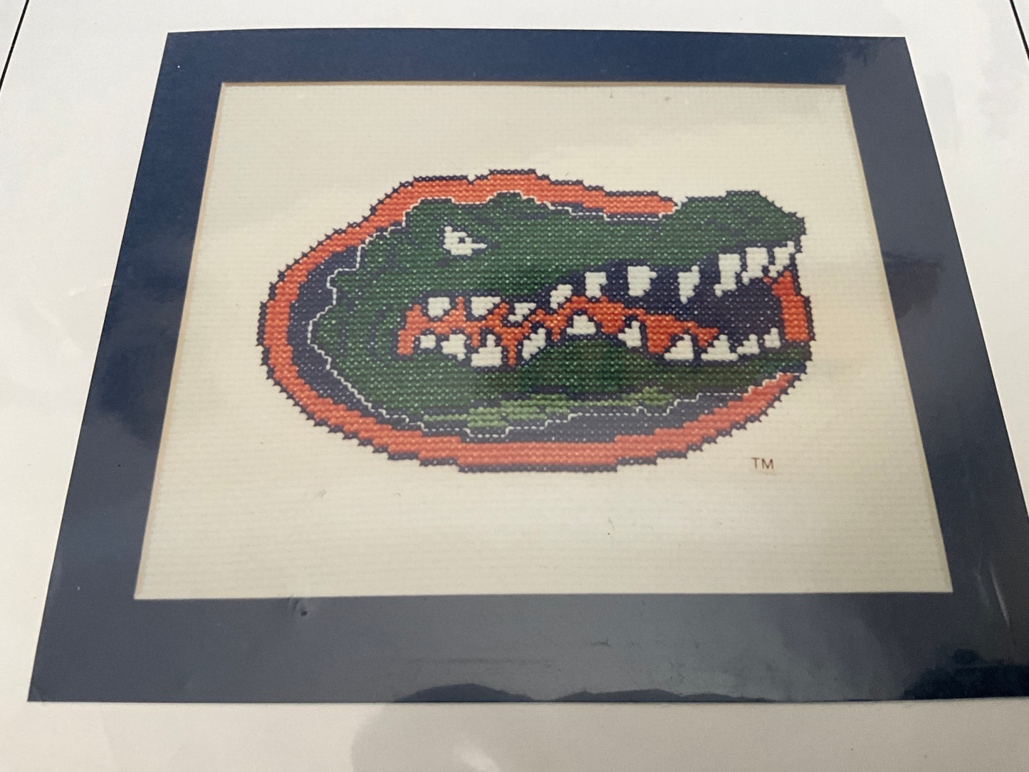 Happen Chance University Series choice counted cross stitch graphs see pictures and variations