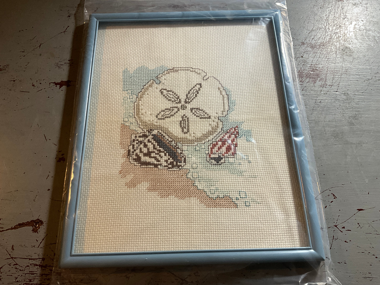 Tranquil beach with sand dollar and seashells cross stitch picture finished project in blue frame