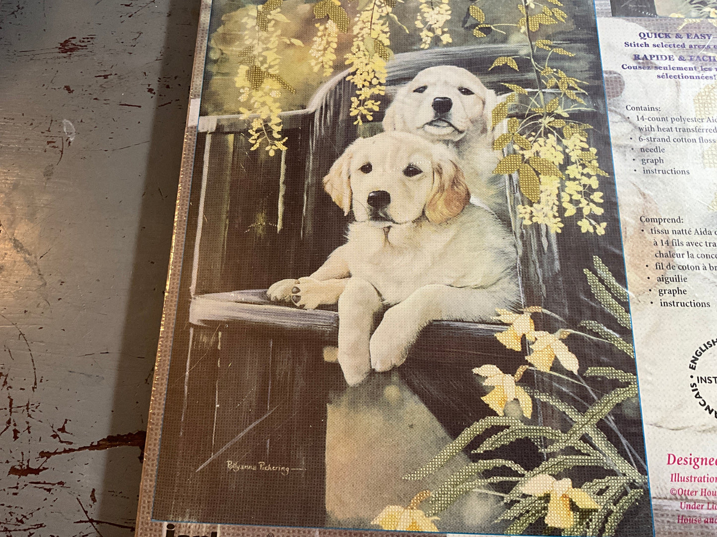 Janlynn Embellished Golden Pair printed fabric cross stitch kit