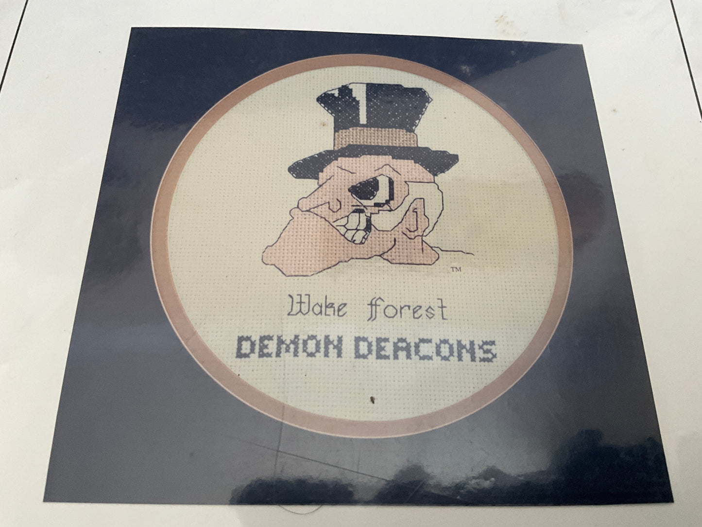 Happen Chance University Series choice counted cross stitch graphs see pictures and variations