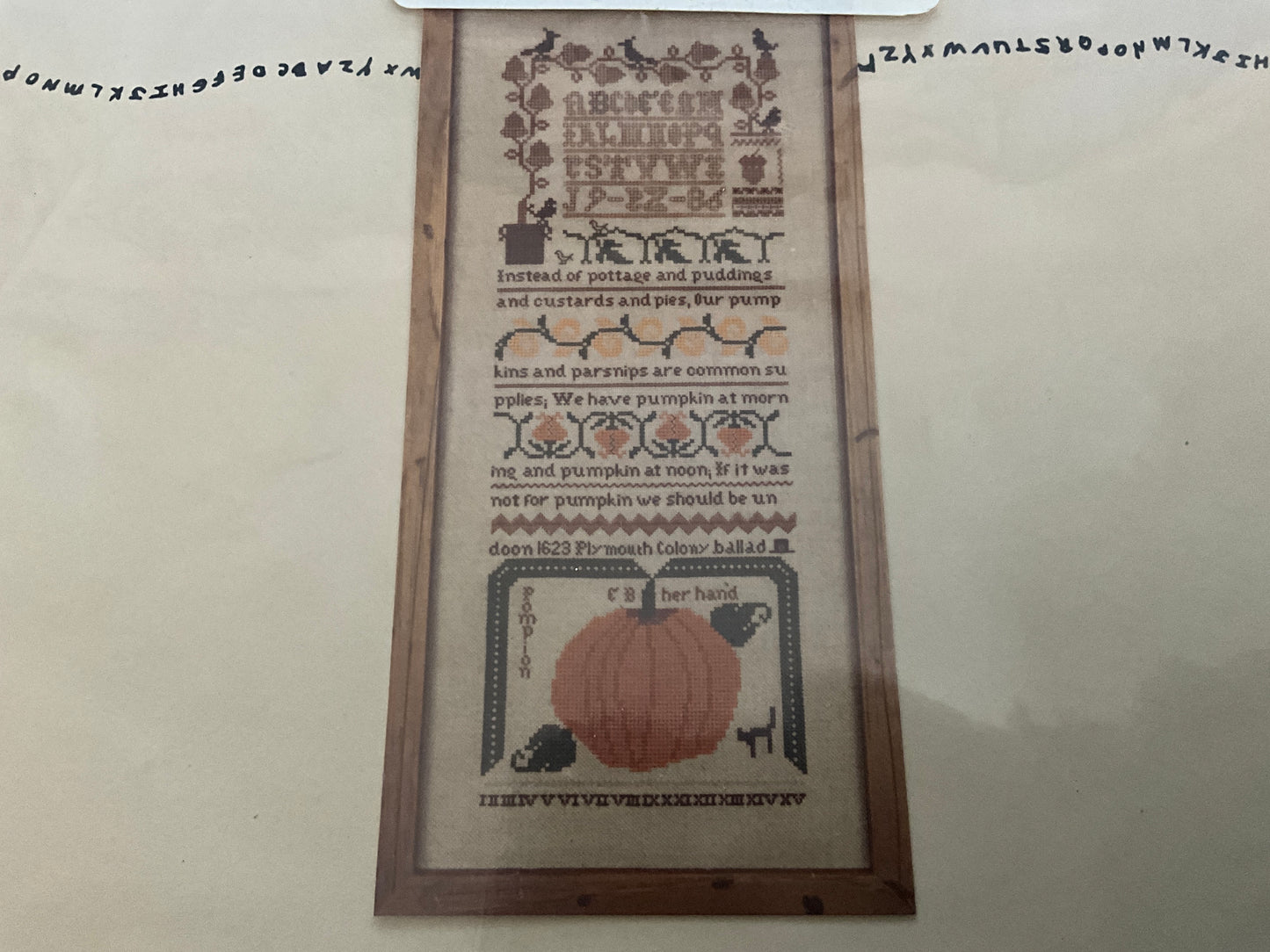The sampler House Pumpkin Sampler pattern only