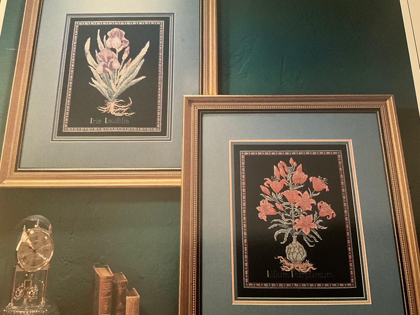 Color Charts Botanical Classics #31002 Patricia Hall counted cross stitch chart