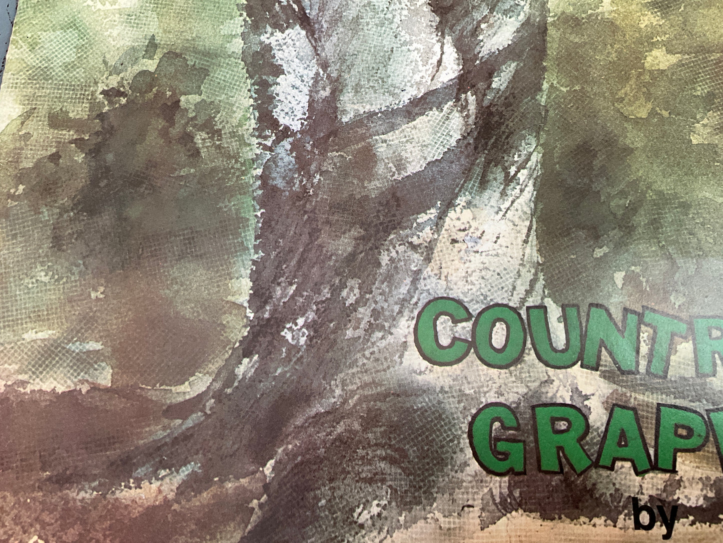 Graphs by Barbara & Cheryl choice vintage counted cross stitch charts see pictures and variations*