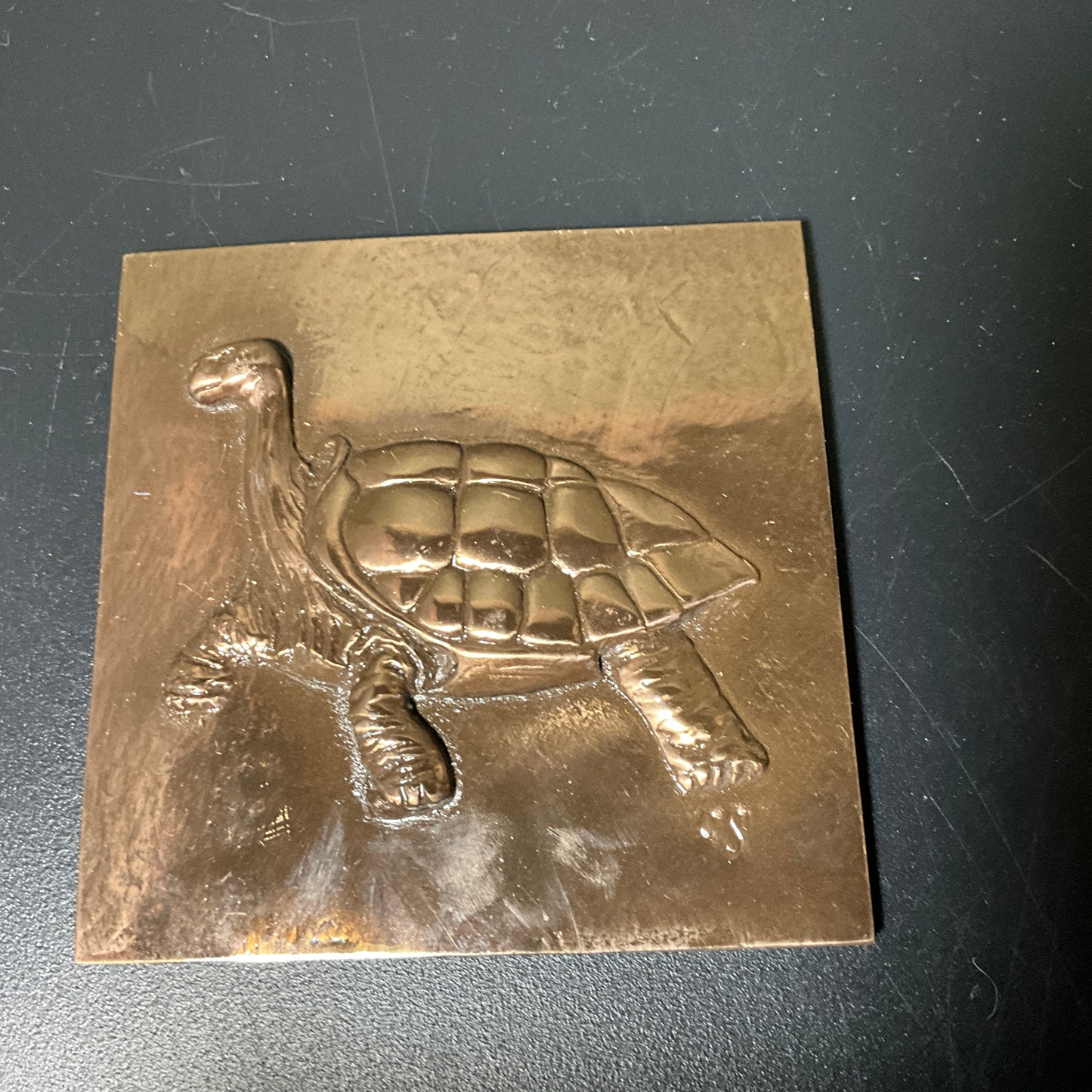 Tortoise/Turtle gold-tone metal surfaced ceramic tile