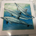 Janlynn Dolphins #013-0293 v2002 counted cross stitch kit 14 count AIDA