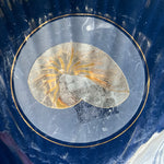 Otagiri Nautilus Shell vintage collectible decorative keepsake dish