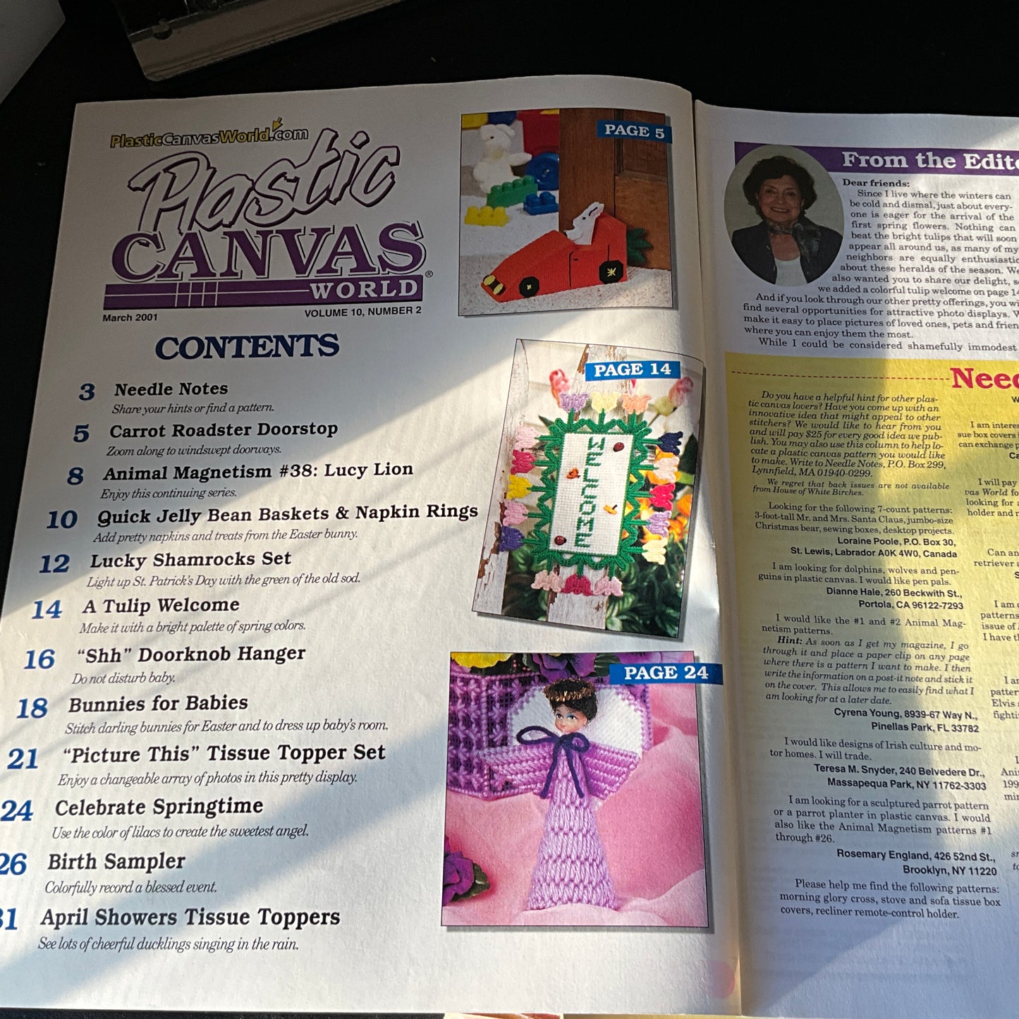 Plastic Canvas World magazine choice of lots see pictures and variations