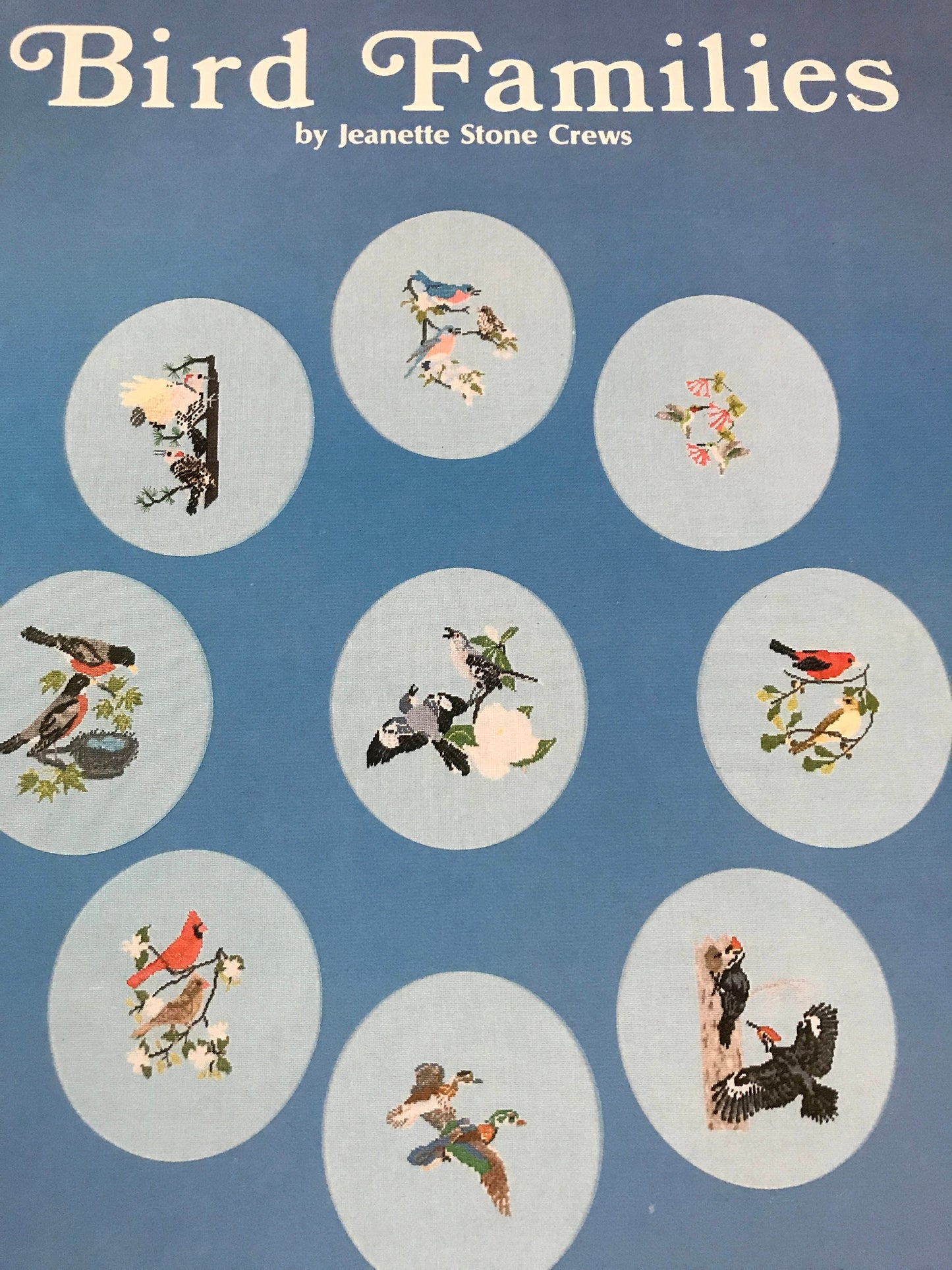 Bird Families Booklet #5 Vintage Counted Cross Stitch pattern