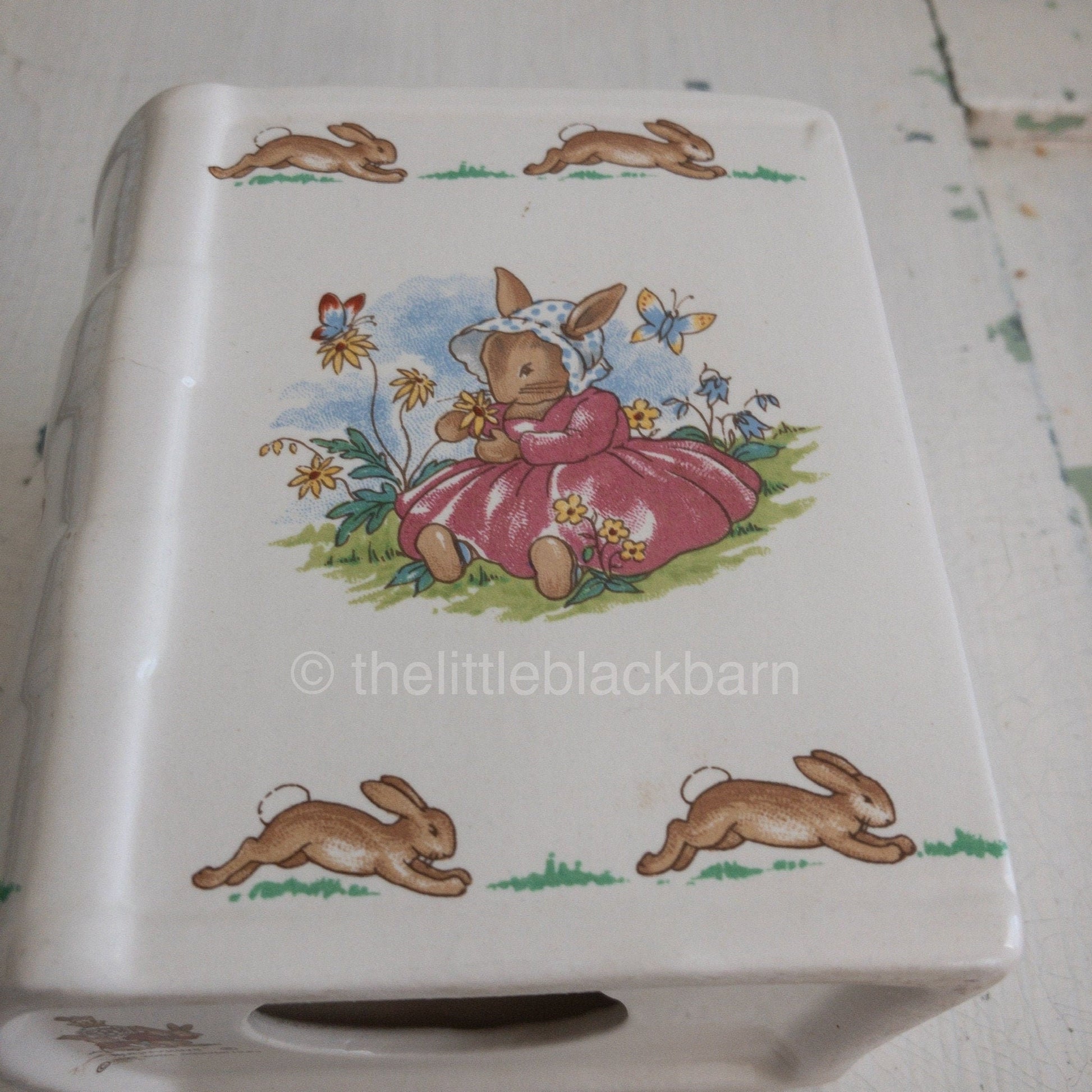 Bunnykins, 1936 Royal Doulton Porcelain Book Bank, approximately 4.5 by 2.75 Inches