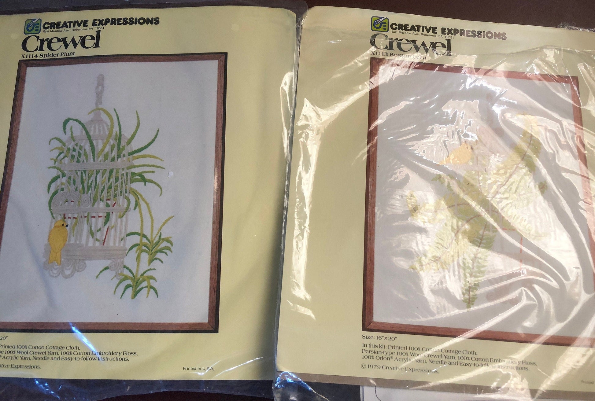 Creative Expressions, Boston Fern, X1113, Spider Plant, X1114, Set of 2, Vintage 1979, Crewel Kits, 16 by 20 Inches, Hard to Find