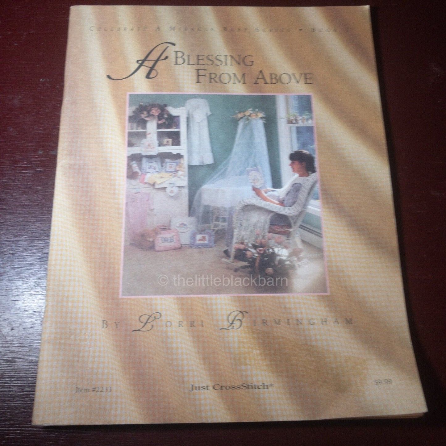 Just Cross Stitch, A Blessing From Above, by Lorri Birmingham, Vintage, Counted Cross Stitch Book*