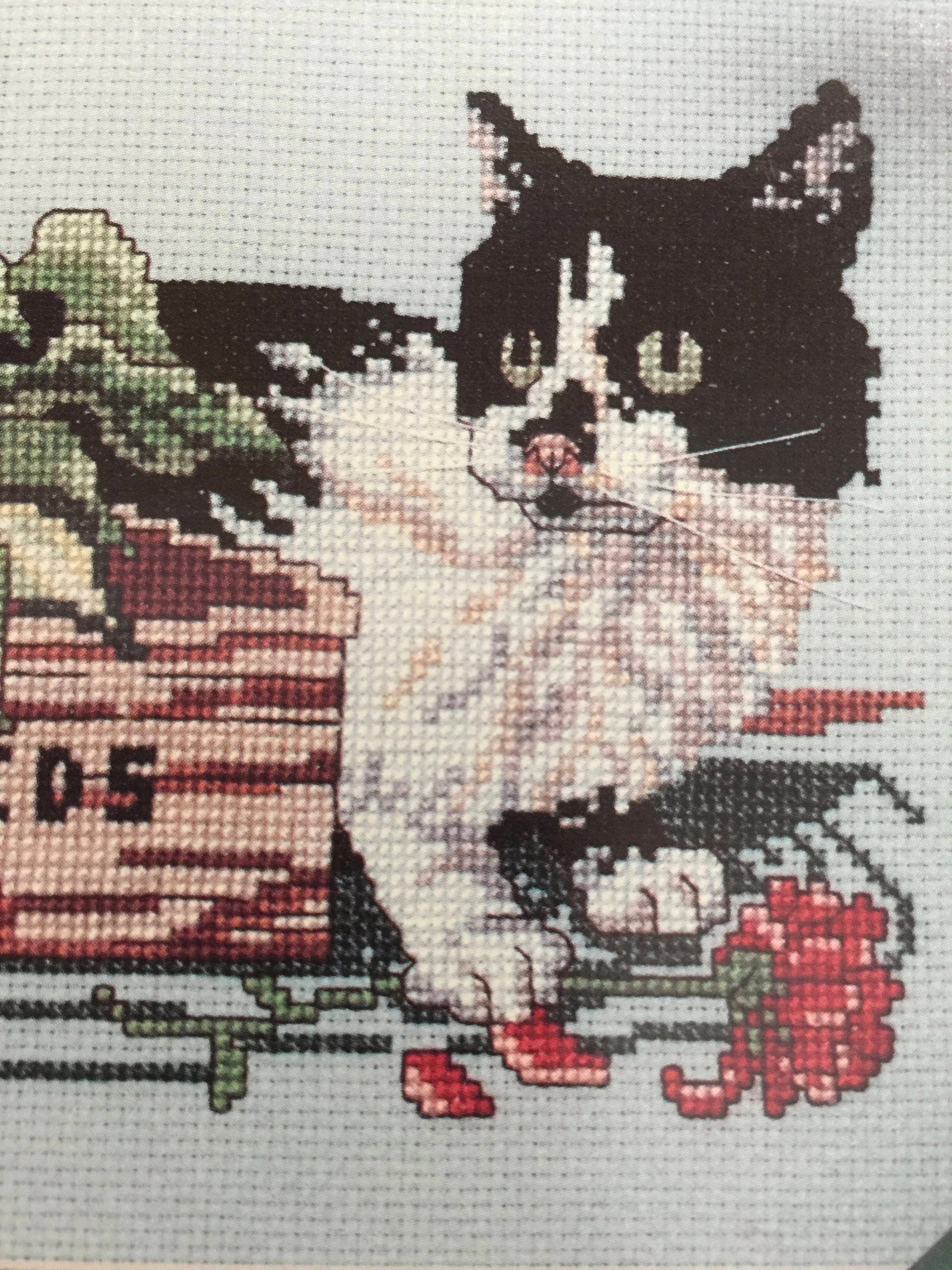 Canterbury Designs Missy Curious Cats by Dotty Schenk First in Series Vintage 1989 counted cross stitch pattern