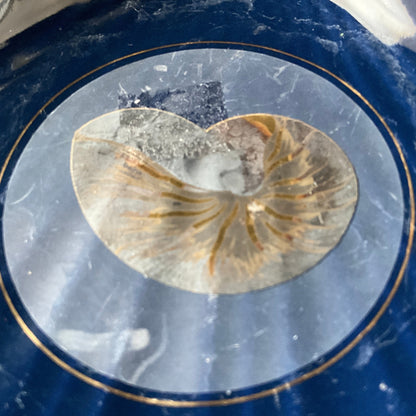 Otagiri Nautilus Shell vintage collectible decorative keepsake dish