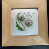 Fluffy Dandelion with seeds flying in a nice natural 7.5 inch square frame fully finished cross stitch picture