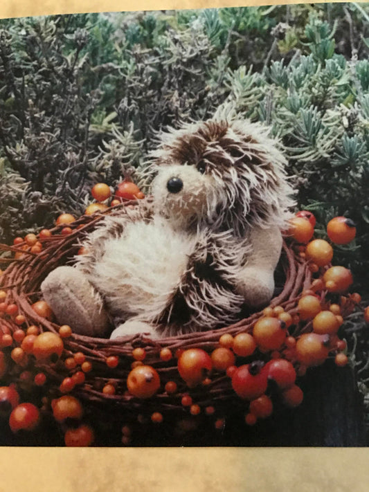 Gemini Bears Rare "Spike" Hedgehog pattern from New Zealand