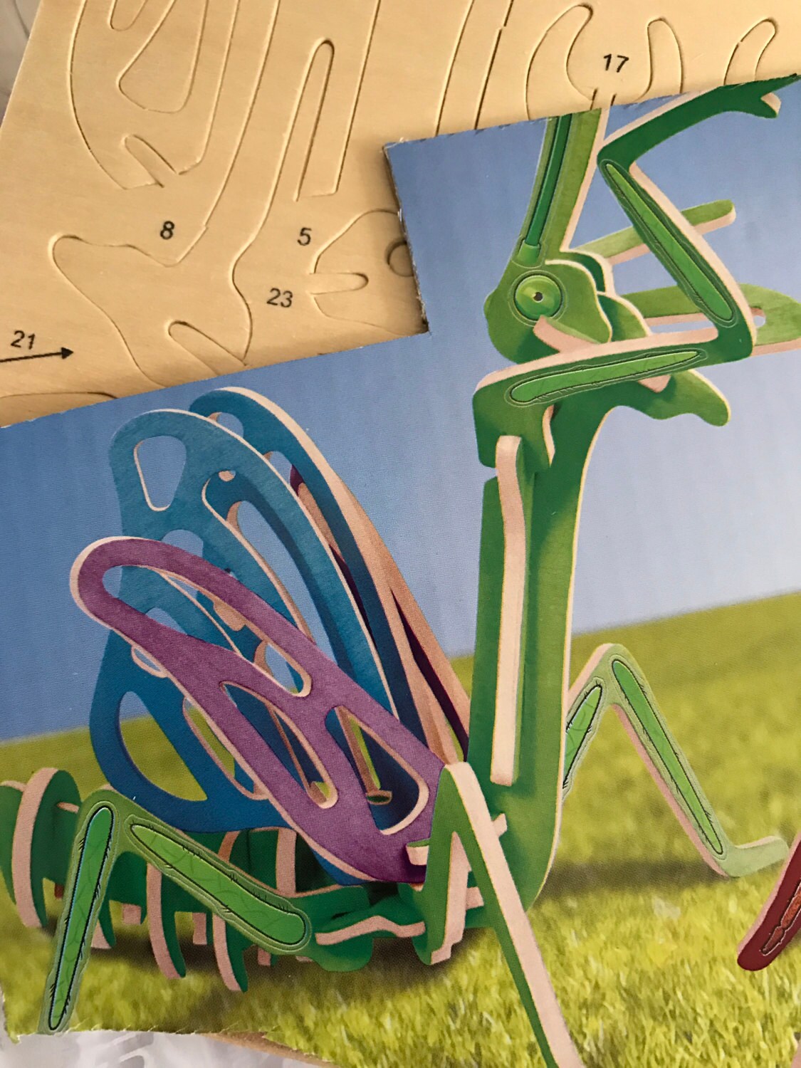 Wooden Puzzle, 3D Praying Mantis and Tarantula, Bug Puzzle To Assemble and Color*