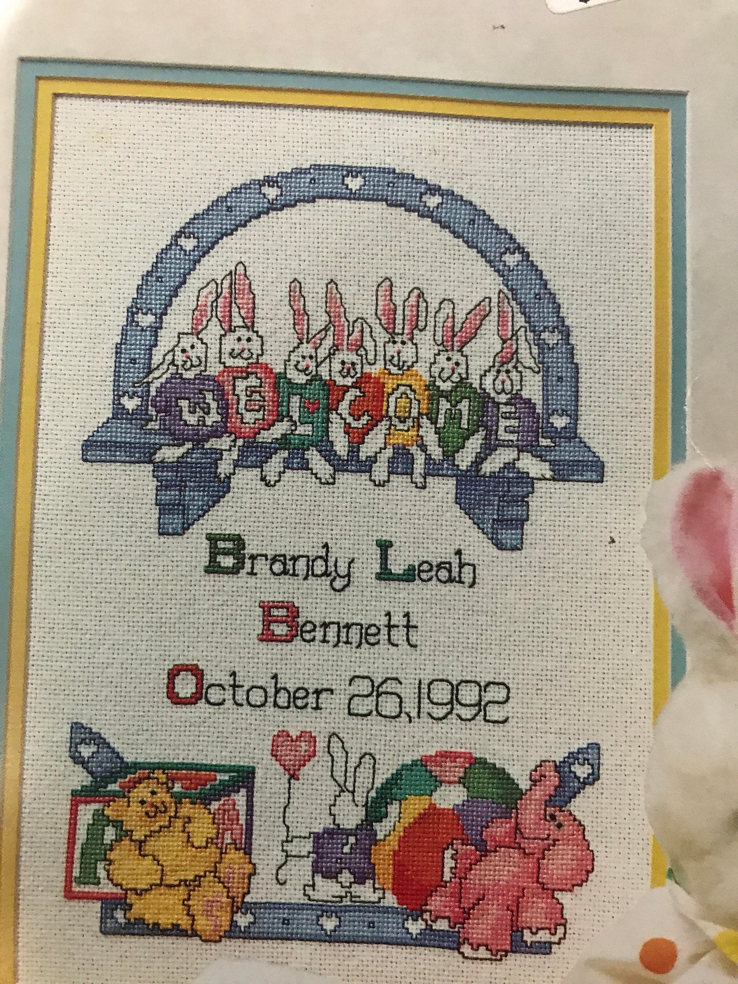 Great Big Graphs Bunny Birth Collection Vintage Counted Cross Stitch pattern book