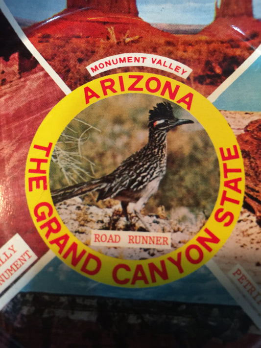 Vintage 1980s Arizona "the Grand Canyon State" depicts a road runner, Canyon De Chelly, Petrified Forest Monument Valley, and Grand Canyon