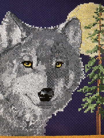 Stitch World, X-stitch, Moon Shadow,Designed by, Sandra Paradise, Leaflet 03-109 L counted cross stitch pattern in color, Vintage ,1995