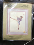 Something Special, Sleeping Ballerina, Vintage, 1989, Counted Cross Stitch Kit, 12 by 16 inch, Stitched on 32 Count Linen