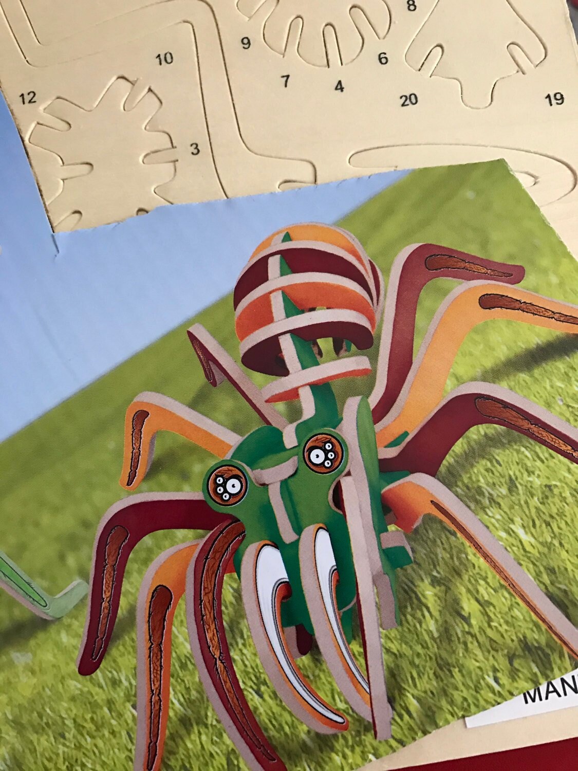 Wooden Puzzle, 3D Praying Mantis and Tarantula, Bug Puzzle To Assemble and Color*