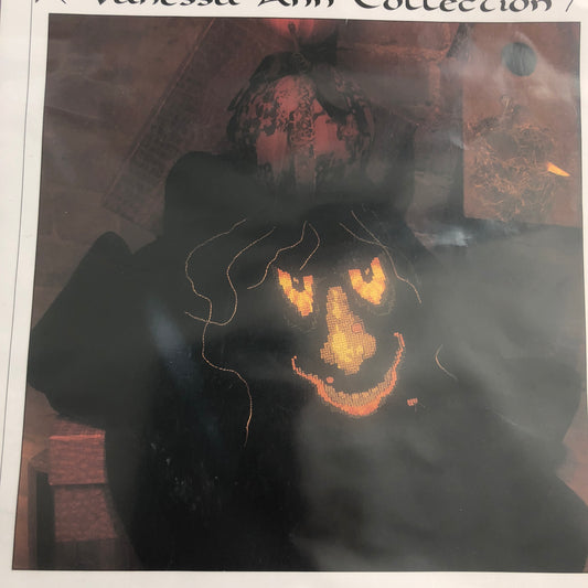 The Vanessa-Ann Collection, The Wicked Witch, with waste canvas and thread, Cross Stitch Kit
