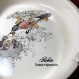 Beautiful Robin, Turdus Migratoris, Bird Nest Painted Ashtray, Otiguri Japan* Gibson Greeting Cards