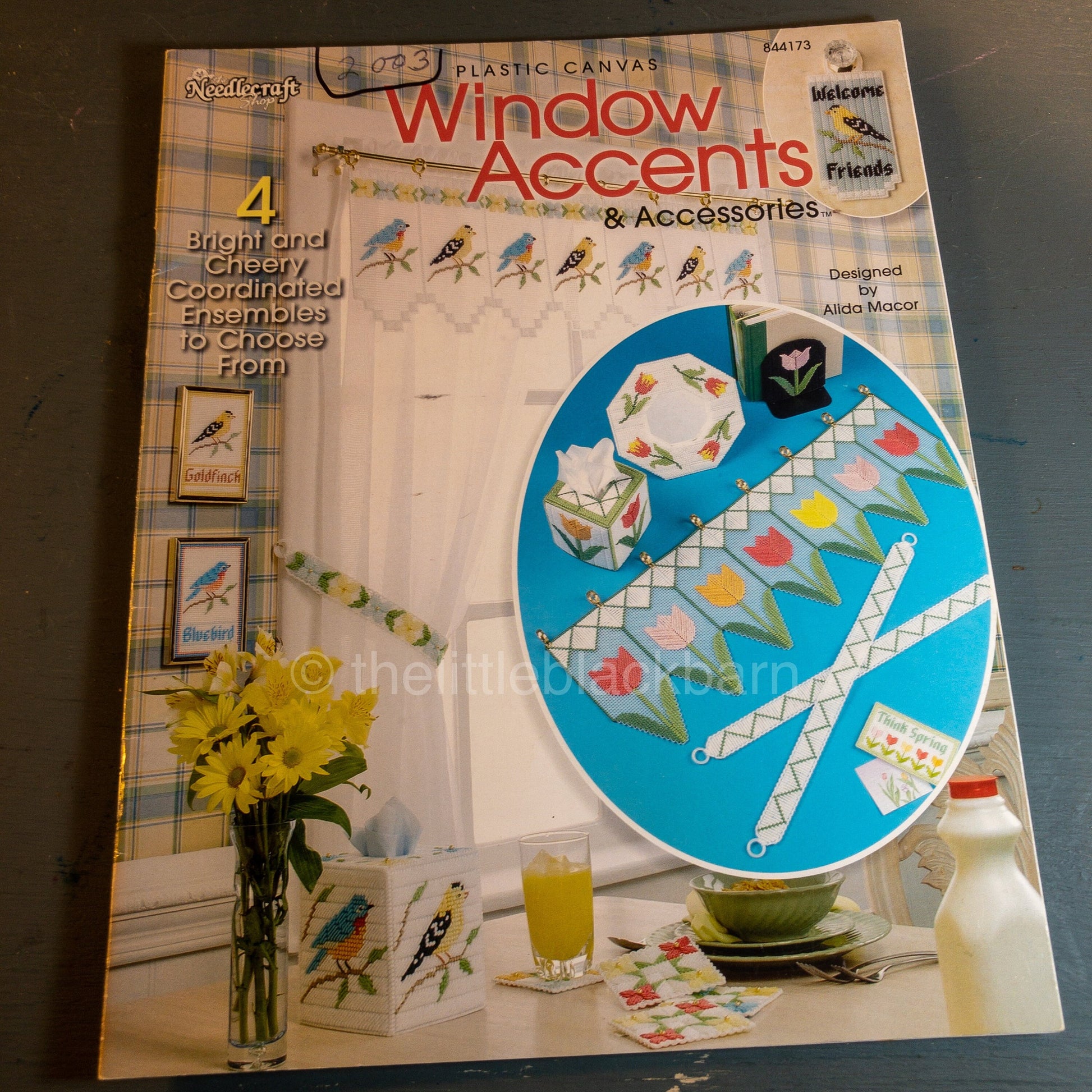 the Needlecraft Shop, Window Accents & Accessories, Alida Macor, 2003, Plastic Canvas Patterns