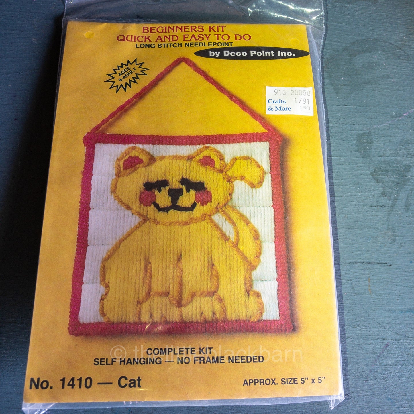 Deco Point, Cat 1410, Long Stitch Needlepoint, Beginners Kit, 5 by 5 Inches