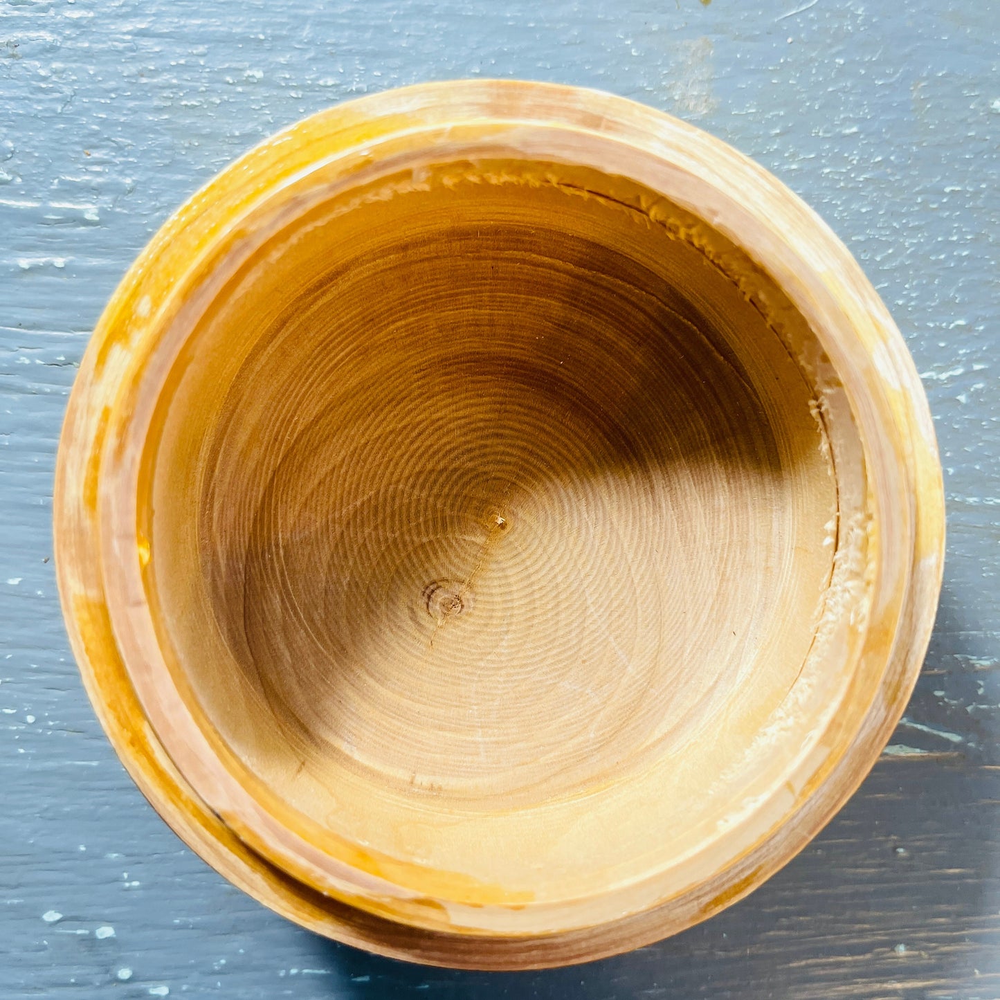 Wildcat, Round Painted Wooden Trinket Box