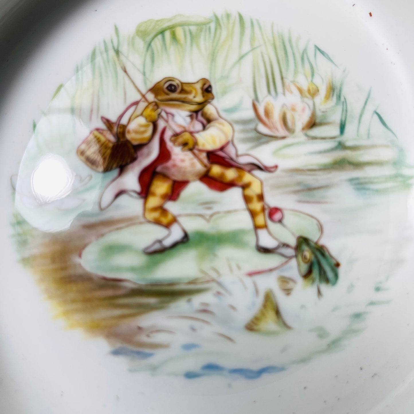 The World of Beatrix Potter, Mr. Jeremy Fisher, Royal Albert, Bone China Bowl, Vintage 1986, Collectible