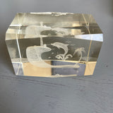 Laser Etched Glass Paper Weights, Choice of Skier, or Dolphin On Wave, Lighthouse Scene, Vintage Collectible, 3 by 2 Inches